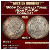 1900-p Morgan Dollar Colorfully Toned Near Top Pop
