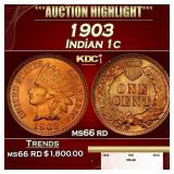1903 Indian Cent . 1c ms66 rd SEGS