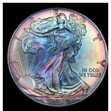 2016 Silver Eagle Dollar Rainbow Toned $1 Grades m