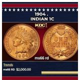 1904 Indian Cent . 1c ms66 rd SEGS