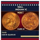 1904 Indian Cent . 1c ms66 rd SEGS