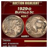 1929-d Buffalo Nickel 5c ms66+ SEGS