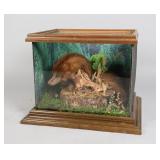 Mink Taxidermy in Display Case