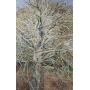 Spring Great Estates Curated Auction