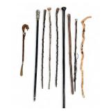 Group of 9 Canes, Walking Sticks, Shoehorn