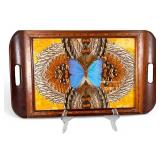 Daniel Teixeira Art Deco Butterfly Tray
