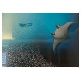 Mark Snyder Underwater Photography Diver & Fish