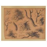 H.W. Burgess Pencil Drawing Branches H.W. Burgess Pencil Drawing Branches