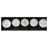 5 Royal Copenhagen Flora Danica Dinner Plates