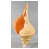 Natural Conch Shell Table Lamp on Acrylic Base
