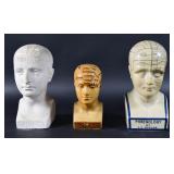 Group of 3 Fowler and Vago Phrenology Busts