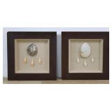 Pr of Decorative Shadow Box Shell Specimen