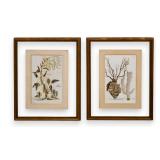 A Pair of Framed Hand-Colored Botanical...