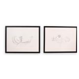 Sydney McGinley Pair of Botanical Tulip Drawings