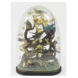 Large Victorian Multi-Specimen Bird Taxidermy...
