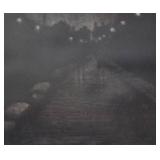 Limited Edition Etching Nocturnal Path