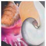 Oscar Lakeman Acrylic on Canvas Shells #2