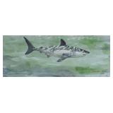 Richard Ellis Watercolor on Shark in Profile