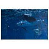Stanley Meltzoff Offset Lithograph Sailfish