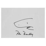 Peter Benchley Signature Pen Drawing Shark