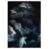 David Doubilet Cibachrome Print Dolphin