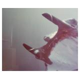 Peter Benchley Diving Manta Ray, Chromogenic