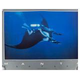 Howard Hall Offset Lithograph Manta Fantasy