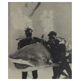 Silver Gelatin John McLaughlin Ricou Browning
