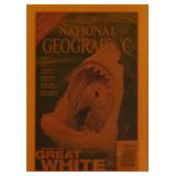 National Geographic Laminated Magazine Cover