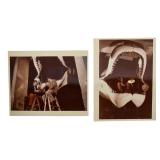 2 Prints Peter Benchley with Megalodon Jaws