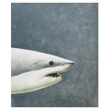 Richard Ellis Giclee on Canvas Great White