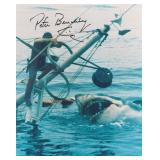 Peter Benchley Signed Jaws Film Still Print