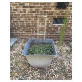 Flower Pot