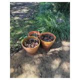 3 Clay Flower Pots
