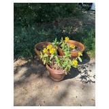 3 Clay Flower Pots