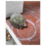 Armadillo Yard Figure