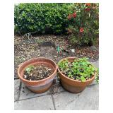 Clay Flower Pots