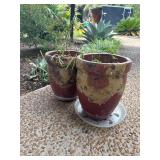 2 Flower Pots
