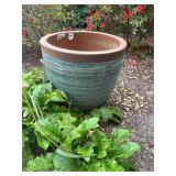 Large Flower Pot