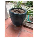 Blue Flower Pot