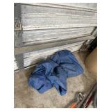 Tarp