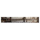 40 Foot Blue Capped Extension Ladder