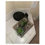 Frog Fountain