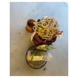 Lot of Gardening Items