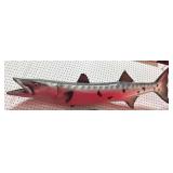 Barracuda Taxidermy