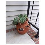 Pair of Planters with Plants