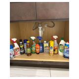 Assorted Cleaning Supplies