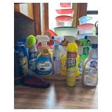 Assortment of Cleaning Supplies
