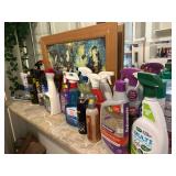 Cleaning Items and Radio