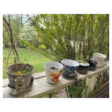 Outdoor Pots and Planters